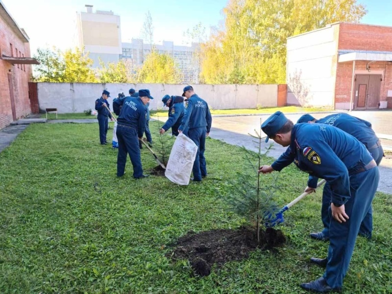 Всероссийский субботник «Зеленая Россия», в рамках эколого-патриотического проекта «Лес Победы» (25.09.2021)